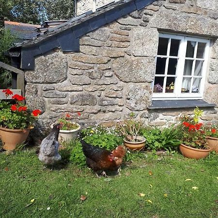 Borea Barn Vegetarian B&B St Ives Екстериор снимка